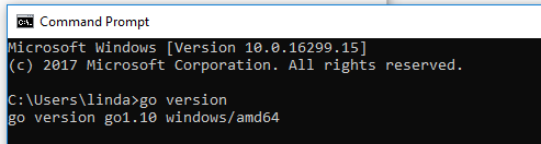 install go on windows